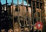 Standbild Detroit Ausschreitungen folgen Detroit Michigan USA, 1967, aus Sekunde 46 historischem Filmmaterial Videoclip 65675025624