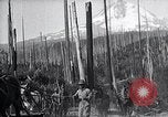 Image National Park Oregon United States USA, 1923, de la seconde 29 séquences d'archives historiques vidéo 65675025635
