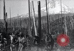 Image National Park Oregon United States USA, 1923, de la seconde 32 séquences d'archives historiques vidéo 65675025635