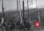 Image National Park Oregon United States USA, 1923, de la seconde 36 séquences d'archives historiques vidéo 65675025635
