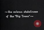 Standbild National Park California United States USA, 1923, aus Sekunde 54 historischem Filmmaterial Videoclip 65675025638