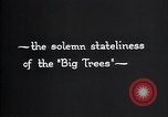 Standbild National Park California United States USA, 1923, aus Sekunde 56 historischem Filmmaterial Videoclip 65675025638