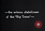 Standbild National Park California United States USA, 1923, aus Sekunde 57 historischem Filmmaterial Videoclip 65675025638