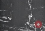Standbild National Park California United States USA, 1923, aus Sekunde 59 historischem Filmmaterial Videoclip 65675025638