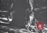 Standbild National Park California United States USA, 1923, aus Sekunde 60 historischem Filmmaterial Videoclip 65675025638