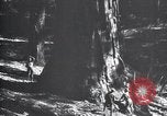 Standbild National Park California United States USA, 1923, aus Sekunde 61 historischem Filmmaterial Videoclip 65675025638