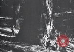 Standbild National Park California United States USA, 1923, aus Sekunde 62 historischem Filmmaterial Videoclip 65675025638
