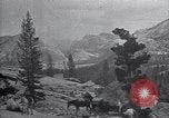 Standbild National Park California United States USA, 1923, aus Sekunde 17 historischem Filmmaterial Videoclip 65675025639
