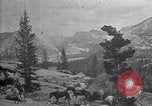 Standbild National Park California United States USA, 1923, aus Sekunde 18 historischem Filmmaterial Videoclip 65675025639