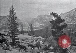 Standbild National Park California United States USA, 1923, aus Sekunde 19 historischem Filmmaterial Videoclip 65675025639