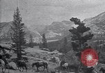Standbild National Park California United States USA, 1923, aus Sekunde 20 historischem Filmmaterial Videoclip 65675025639