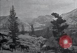 Standbild National Park California United States USA, 1923, aus Sekunde 21 historischem Filmmaterial Videoclip 65675025639