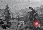 Standbild National Park California United States USA, 1923, aus Sekunde 23 historischem Filmmaterial Videoclip 65675025639