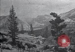 Standbild National Park California United States USA, 1923, aus Sekunde 31 historischem Filmmaterial Videoclip 65675025639
