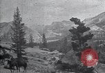 Standbild National Park California United States USA, 1923, aus Sekunde 34 historischem Filmmaterial Videoclip 65675025639