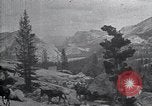 Standbild National Park California United States USA, 1923, aus Sekunde 38 historischem Filmmaterial Videoclip 65675025639