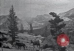 Standbild National Park California United States USA, 1923, aus Sekunde 39 historischem Filmmaterial Videoclip 65675025639