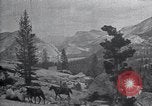 Standbild National Park California United States USA, 1923, aus Sekunde 40 historischem Filmmaterial Videoclip 65675025639