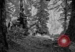 Image of Yosemite National Park California United States USA, 1917, second 28 stock footage video 65675025650