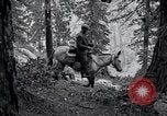 Image of Yosemite National Park California United States USA, 1917, second 29 stock footage video 65675025650