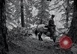 Image of Yosemite National Park California United States USA, 1917, second 30 stock footage video 65675025650