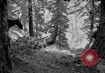 Image of Yosemite National Park California United States USA, 1917, second 32 stock footage video 65675025650
