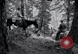 Image of Yosemite National Park California United States USA, 1917, second 34 stock footage video 65675025650