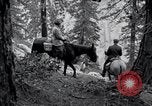 Image of Yosemite National Park California United States USA, 1917, second 35 stock footage video 65675025650