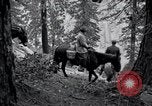 Image of Yosemite National Park California United States USA, 1917, second 36 stock footage video 65675025650