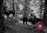 Image of Yosemite National Park California United States USA, 1917, second 37 stock footage video 65675025650