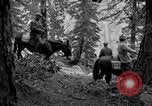 Image of Yosemite National Park California United States USA, 1917, second 38 stock footage video 65675025650