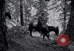 Image of Yosemite National Park California United States USA, 1917, second 40 stock footage video 65675025650