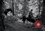 Image of Yosemite National Park California United States USA, 1917, second 41 stock footage video 65675025650