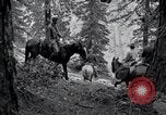 Image of Yosemite National Park California United States USA, 1917, second 43 stock footage video 65675025650