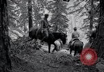 Image of Yosemite National Park California United States USA, 1917, second 44 stock footage video 65675025650