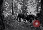 Image of Yosemite National Park California United States USA, 1917, second 45 stock footage video 65675025650