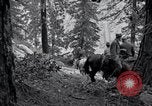 Image of Yosemite National Park California United States USA, 1917, second 46 stock footage video 65675025650