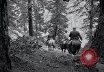 Image of Yosemite National Park California United States USA, 1917, second 48 stock footage video 65675025650