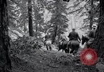 Image of Yosemite National Park California United States USA, 1917, second 49 stock footage video 65675025650