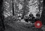 Image of Yosemite National Park California United States USA, 1917, second 50 stock footage video 65675025650