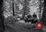 Image of Yosemite National Park California United States USA, 1917, second 51 stock footage video 65675025650