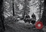 Image of Yosemite National Park California United States USA, 1917, second 52 stock footage video 65675025650