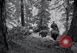 Image of Yosemite National Park California United States USA, 1917, second 53 stock footage video 65675025650