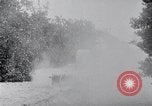 Image of Orange grove irrigation California United States USA, 1920, second 6 stock footage video 65675025651