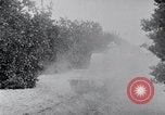 Image of Orange grove irrigation California United States USA, 1920, second 7 stock footage video 65675025651