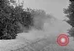 Image of Orange grove irrigation California United States USA, 1920, second 8 stock footage video 65675025651