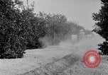 Image of Orange grove irrigation California United States USA, 1920, second 12 stock footage video 65675025651
