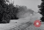 Image of Orange grove irrigation California United States USA, 1920, second 14 stock footage video 65675025651