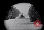 Image of Orange grove irrigation California United States USA, 1920, second 50 stock footage video 65675025651