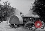 Image of Orange grove irrigation California United States USA, 1920, second 54 stock footage video 65675025651